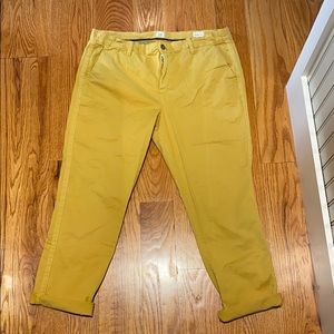Golden Mustard Gap Girlfriend Chino Pants
